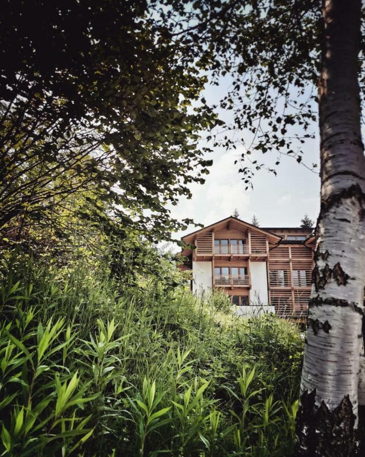 Appartamenti E B&B Casa Ester Baselga di Pine Ngoại thất bức ảnh